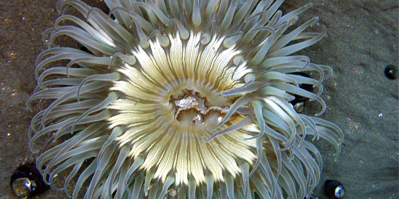 Abissi. Città di Venezia 2022 – Museo di storia naturale, Venezia